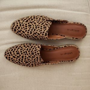 Indigo Rd. Cheetah print mules 9.5 NEW